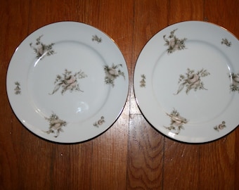 Rosenthal colonial continental Rose Dessert Salad Sandwich Plates 7.5"  Set of 2