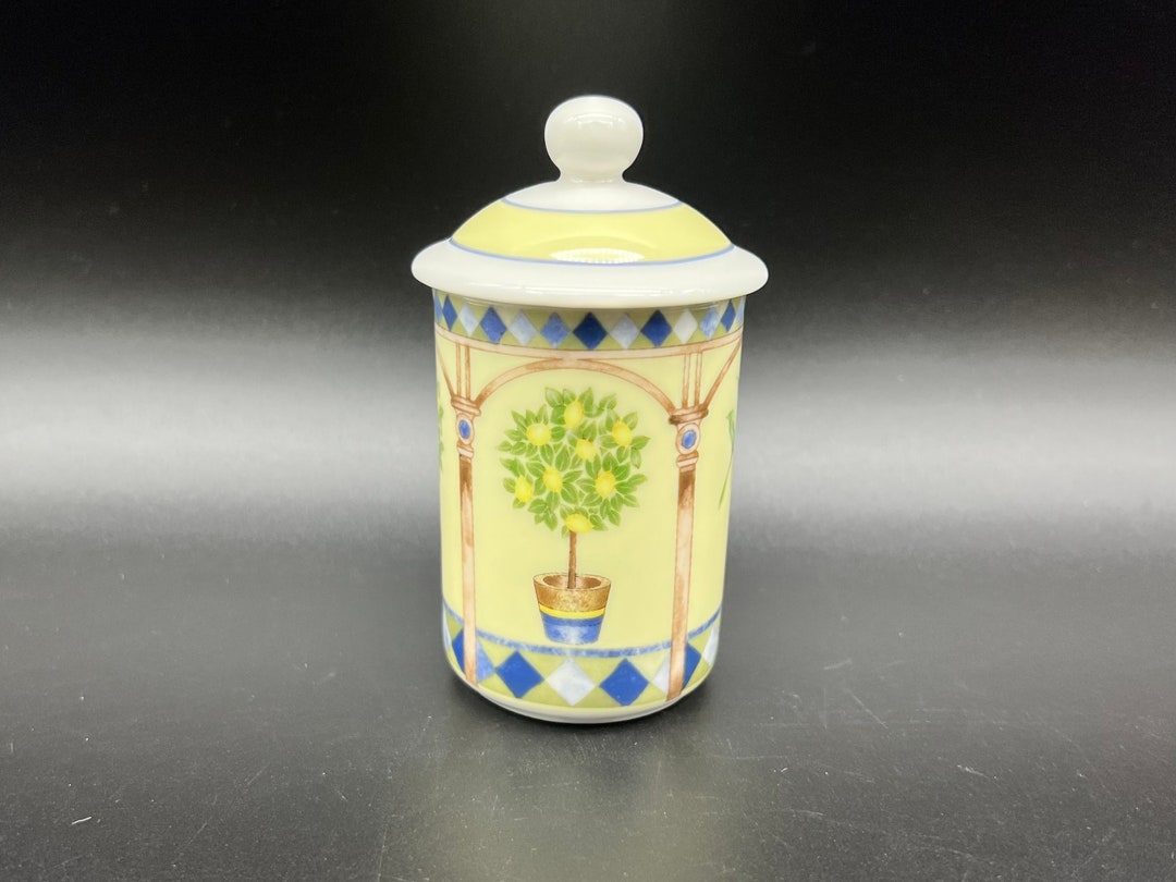 Royal Doulton Carmina Small Canister Oven Microwave Dishwasher Safe Etsy