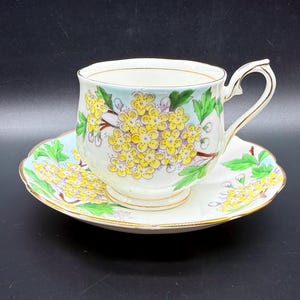Royal Albert Flower of the Month No.5 Hawthorn Tea Cup Set England Bone China