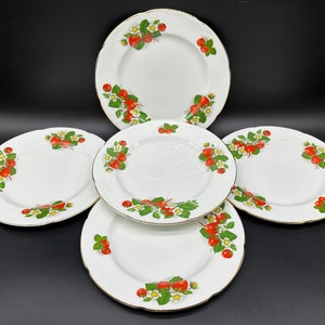 Royal Grafton Wild Strawberry 20cm Salatteller (5er Set) Bone China England