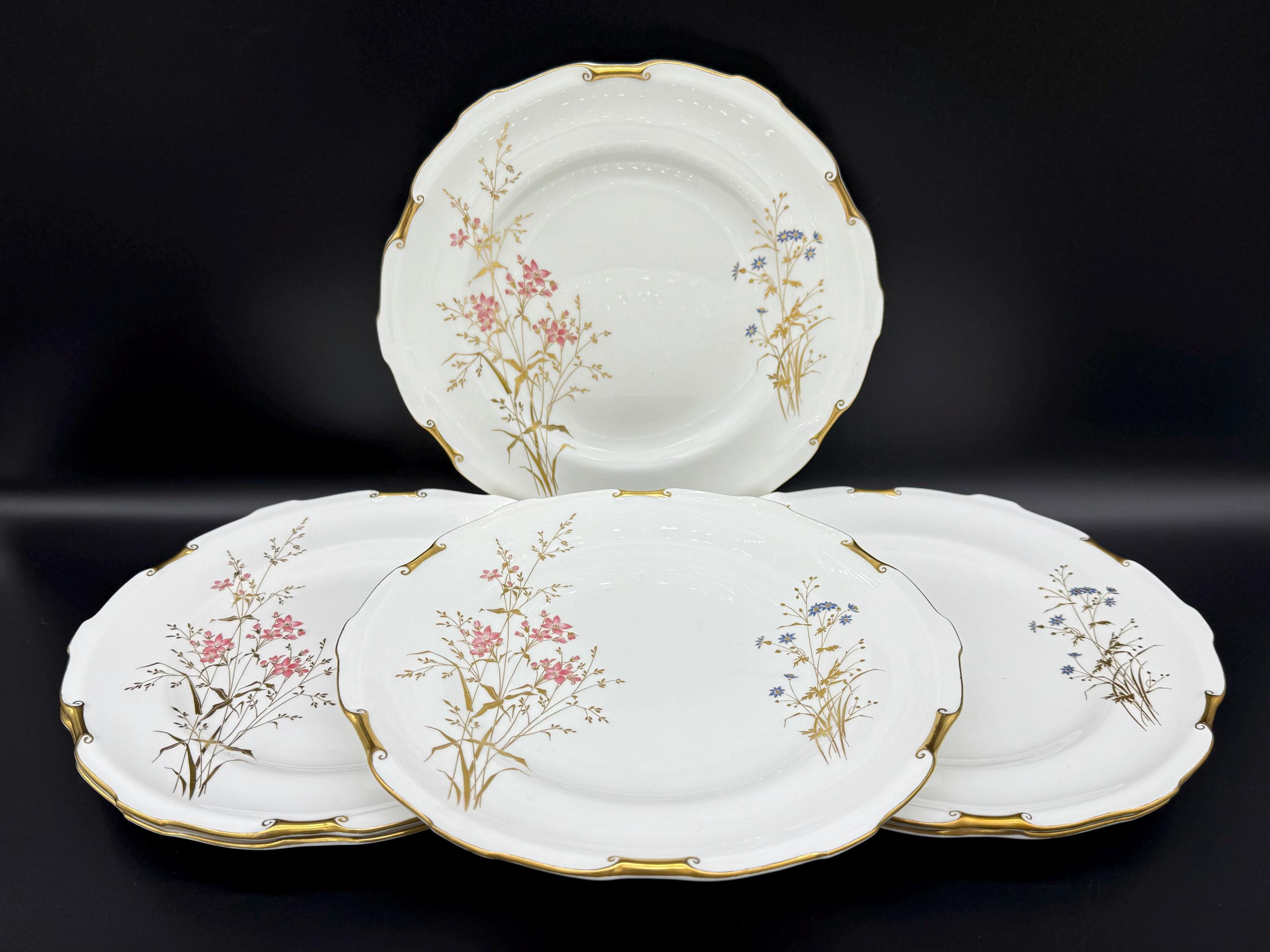 Royal Crown Derby Devonshire Dinner Plates(Set of 6) Bone China England