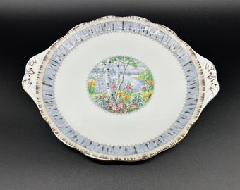 Piatto da torta Royal Albert Silver Birch da 10,5 pollici in porcellana Bone China, Inghilterra