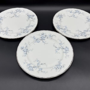 Platos de ensalada Paragon Brides Choice de 8&quot; (juego de 3), porcelana inglesa