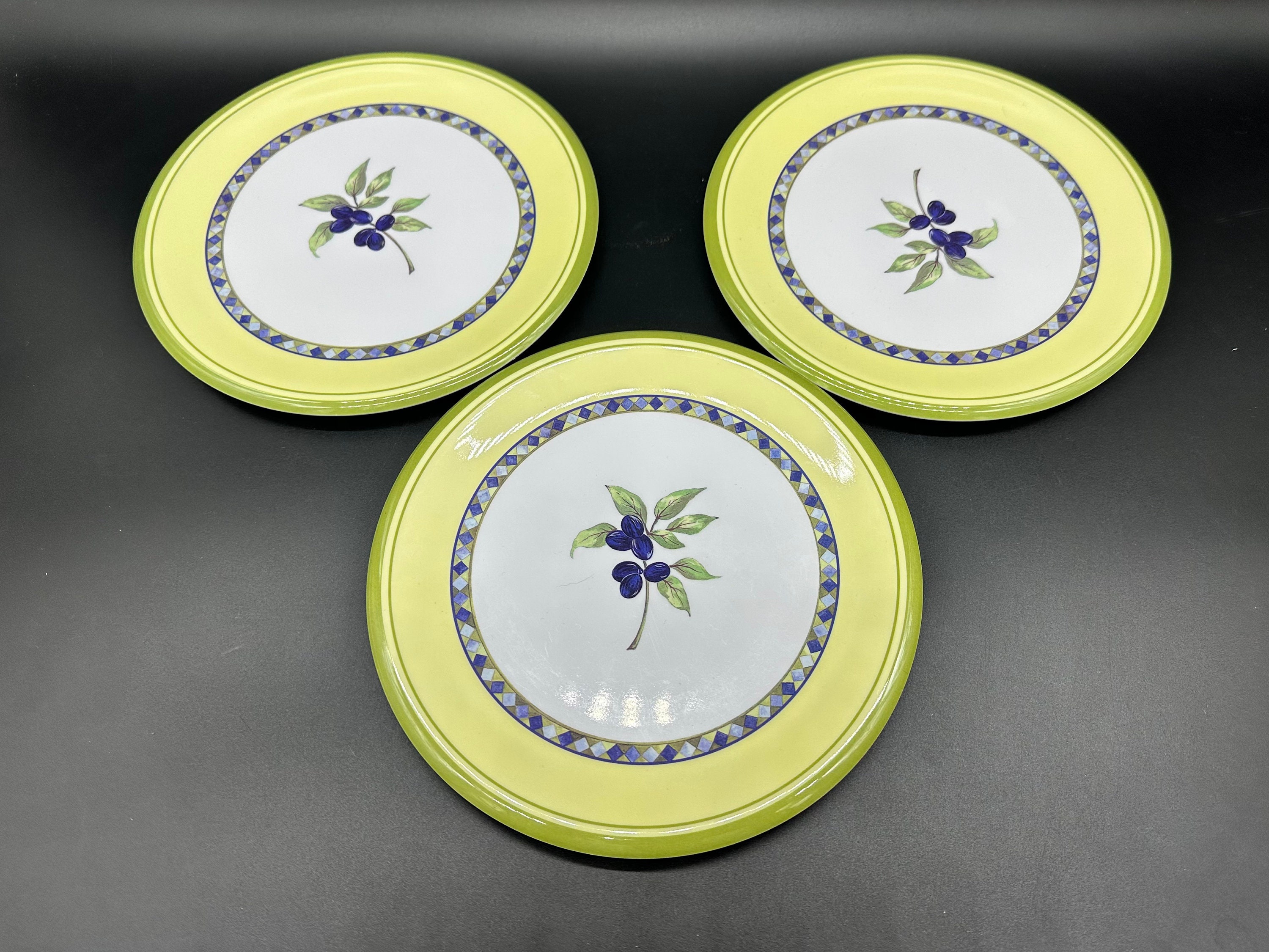 Royal Doulton Carmina 8 1 2 Melamine Salad Platesset of 3 Etsy