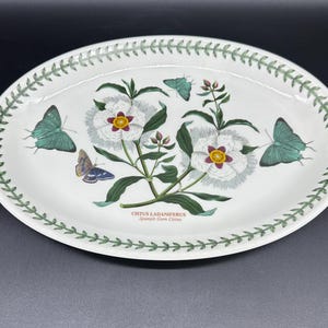 Portmeirion Botanic Garden 26 3/4 Zoll ovale Servierplatte England a.