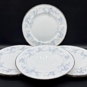 Platos para cena Paragon Brides Choice (juego de 6) de porcelana inglesa