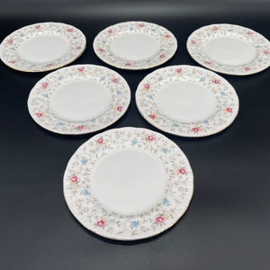 First Choice Paragon - Etsy