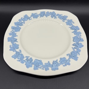 May include: A white square plate with a blue grapevine design around the edge.