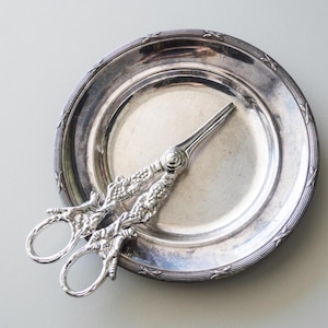 Grape shears Fox pattern Relief Figural Food photo prop Fancy Ornate serving CLEARANCE SALE