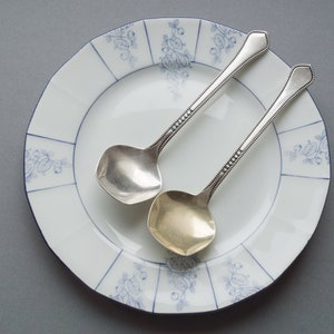 Vintage Sugar Spoon Silver Plated Embossed Shovel type