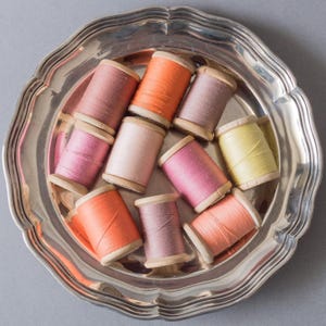 Houten spoelen Set van 10 houten klossen Katoenen naaigaren Diverse pasteltinten