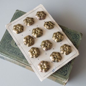 Bottoni in ottone Bottoni con gambo pressato floreale Carta abbellimento inutilizzato