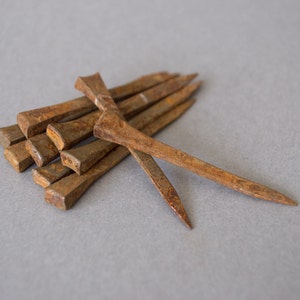 Puede incluir: Un grupo de clavos de metal oxidados con extremos puntiagudos. Los clavos están dispuestos en una pila con un clavo cruzando la parte superior.