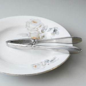 Nussknacker Gehämmerter Schalener Öffner Food Foto Requisite