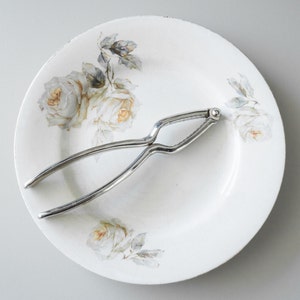 Könnte beinhalten: Ein weißer Porzellanteller mit einem Blumendesign mit weißen Rosen und grünen Blättern. Ein silberner Nussknacker liegt auf dem Teller.