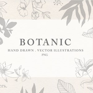 Botanical clipart, Hand Drawn illustrations, Flowers and plants, 20 PNG files