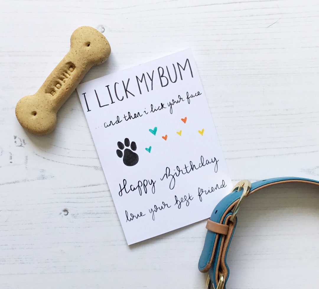 From the Dog Birthday Card, Funny Birthday Card From the Dog, Birthday ...