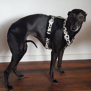 H Style Harness, Dog Harness, Greyhound Harness, Whippet Harness, Italian Greyhound Harness,Puppy Harness, Adjustable Dog Harness image 2