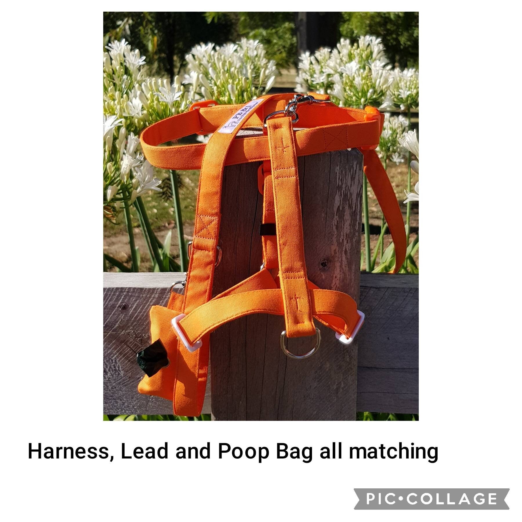 H Style Harness Dog Harness Greyhound Harness Whippet Etsy Australia