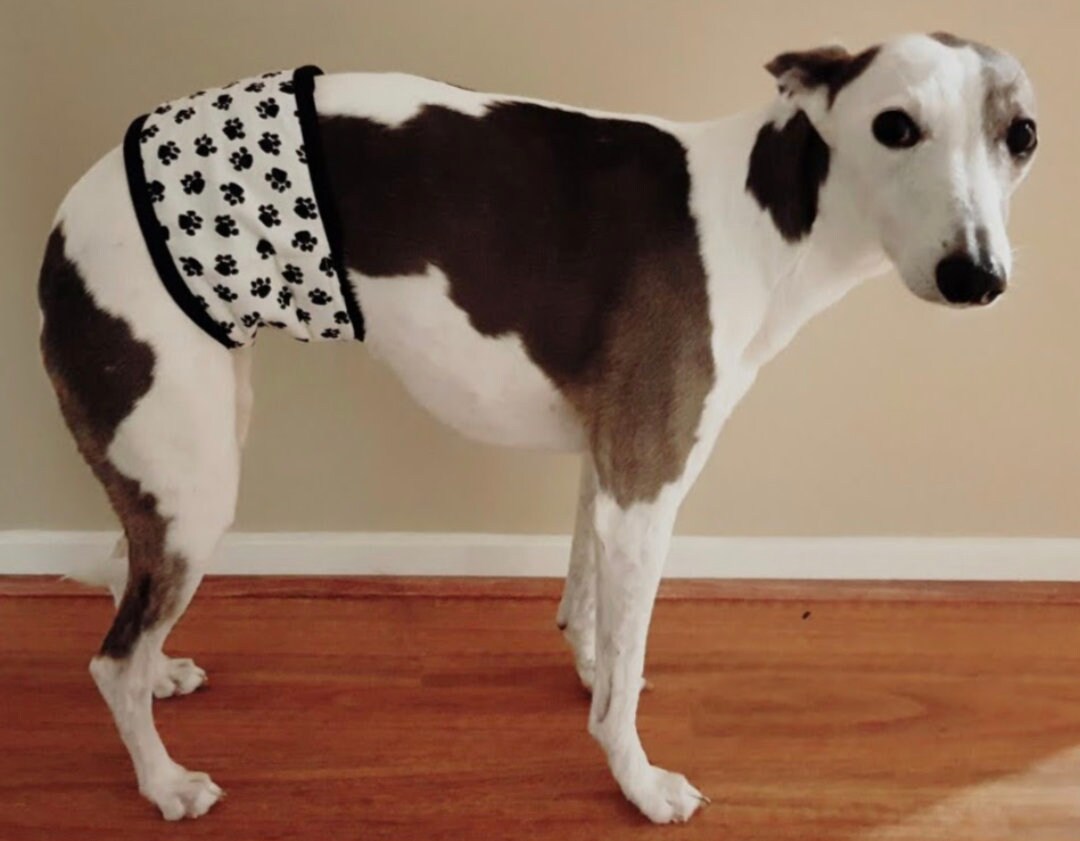 Brooke's best belly bands for dogs hotsell