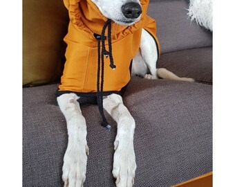 Softshell Water Resistant Decorative Hood Dog Raincoat.Italian Greyhound Hooded Raincoat.Whippet Hooded Raincoat. Greyhound Hooded Raincoat