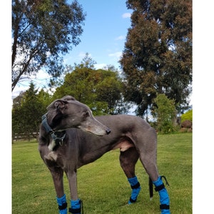 Greyhound Whippet Iggy Dog Booties and Boots,Antislip Dog Booties,Antislip Dog Boots, Water Resistant Dog Booties,Indoor Dog Booties & Boots