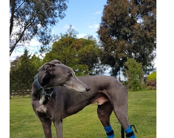 Iggy Greyhound Whippet - Chaussons et bottes pour chien, Chaussons antidérapants pour chien, Bottes antidérapantes pour chien, Chaussons pour chien résistants à l'eau