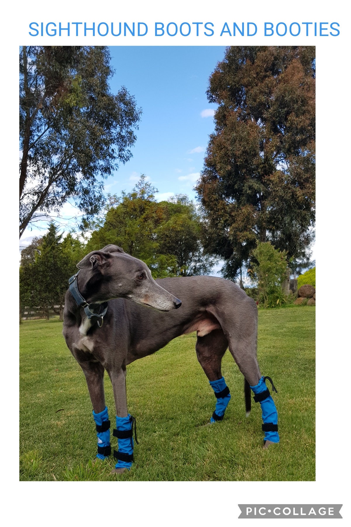 Water-resistant Waterproof Dog Leggings Leg Covering for Dogs Poodle  Leggings Afghan Hound Leggings Afghan Greyhound Accessories 