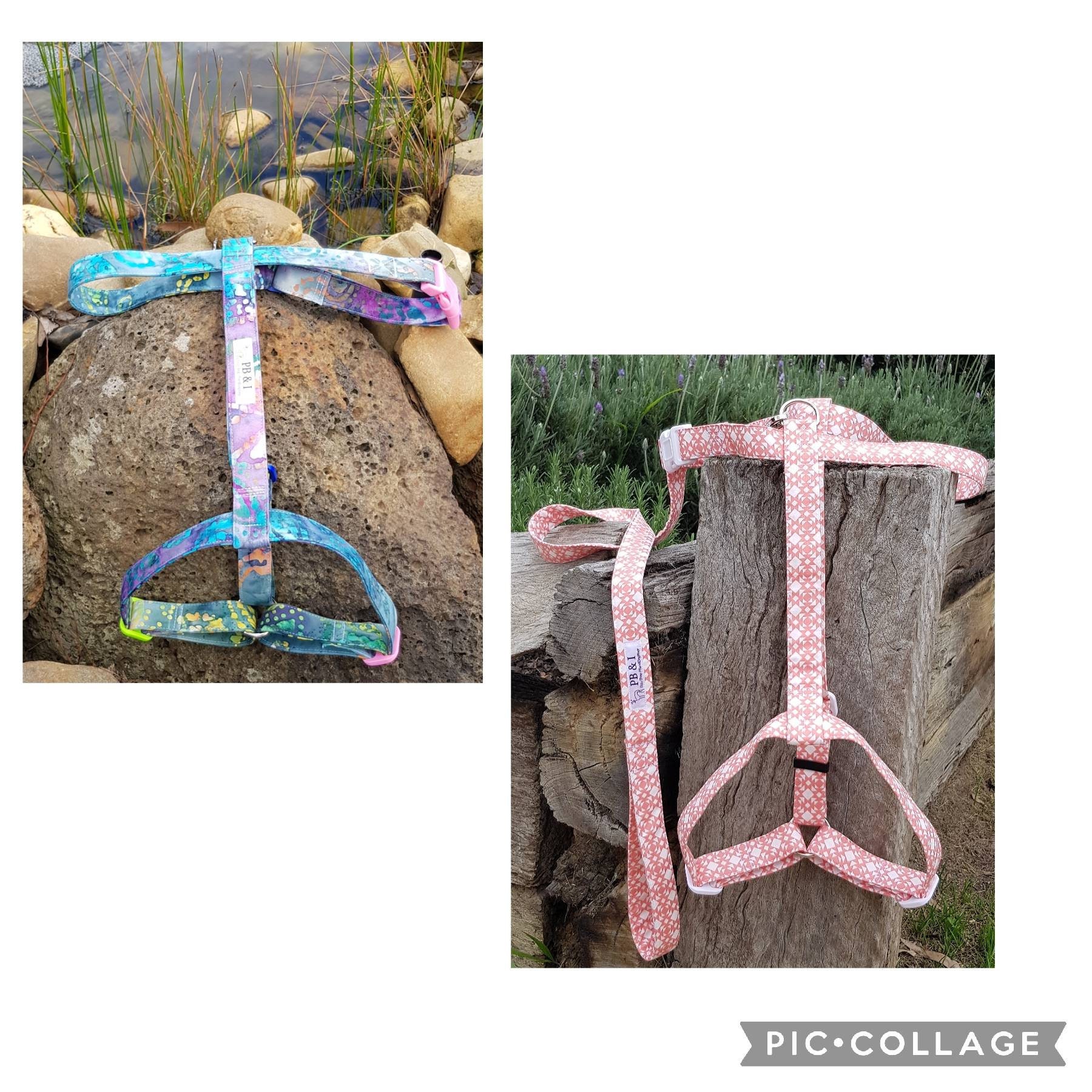 H Style Harness Dog Harness Greyhound Harness Whippet Etsy Australia