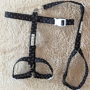 H Style Harness, Dog Harness, Greyhound Harness, Whippet Harness, Italian Greyhound Harness,Puppy Harness, Adjustable Dog Harness image 3