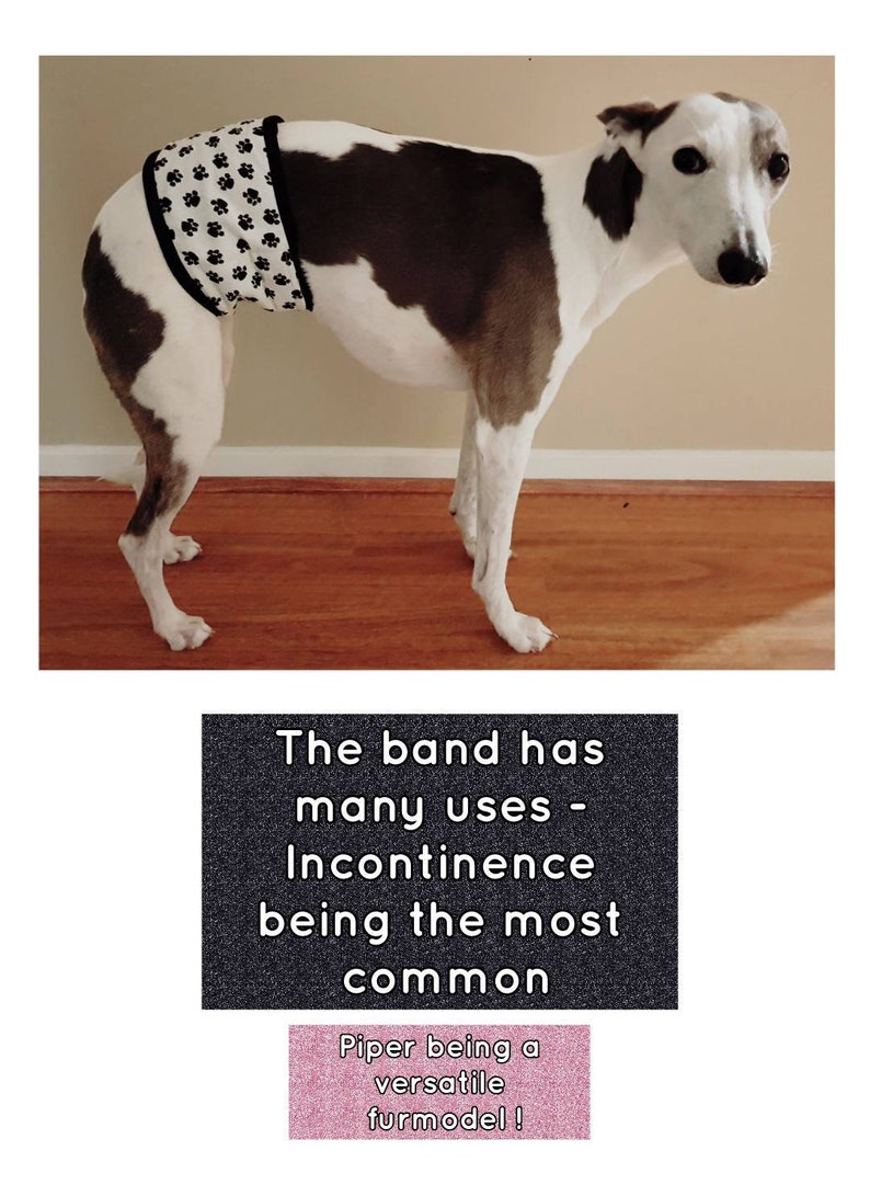 Male Belly Band / Male Wrap / Dog Belly Band / Dog Diaper / Etsy