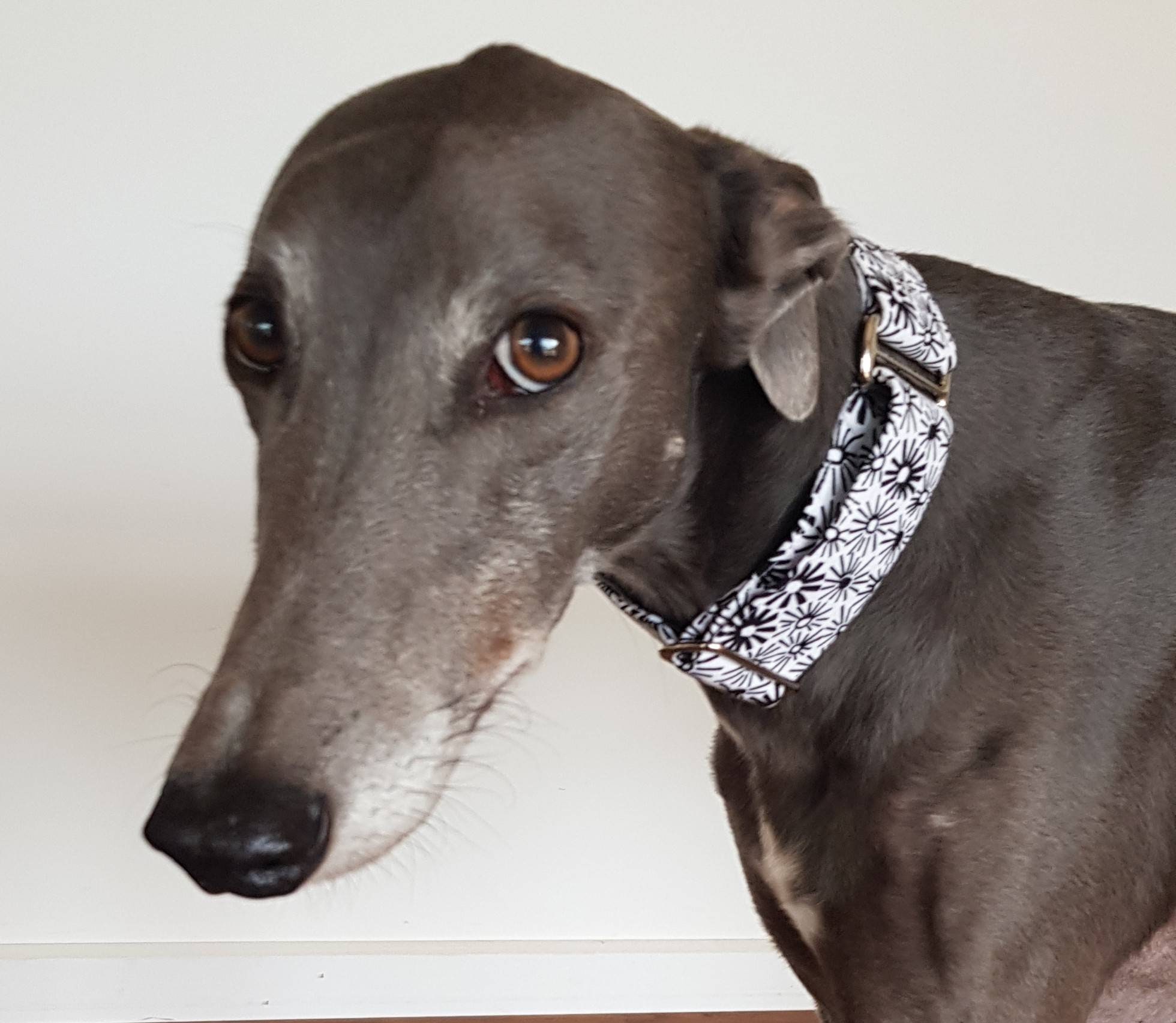 martingale type collar