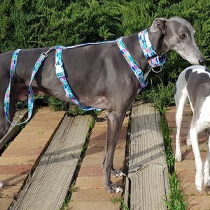 H Style Harness, Dog Harness, Greyhound Harness, Whippet Harness, Italian Greyhound Harness,Puppy Harness, Adjustable Dog Harness image 4