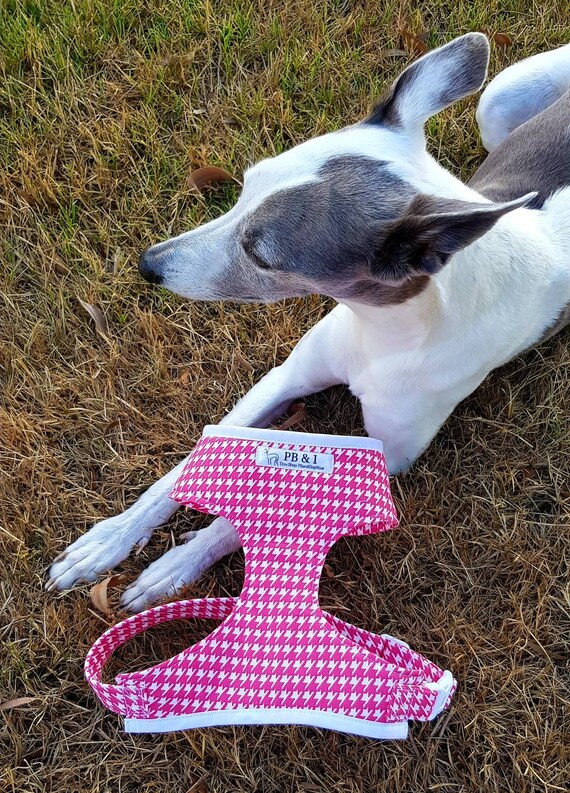 gps dog tracker ireland