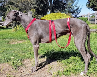 Harnas in H-stijl, instapharnas, windhondharnas, Whippet-harnas, Italiaans windhondharnas, puppyharnas, verstelbaar hondenharnas