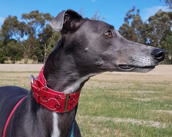 Martingale Collar, Sighthound Collar, Custom Dog Collar, Whippet & Iggie Martingale, Greyhound Collar, Training Collar, Puppy Martingale