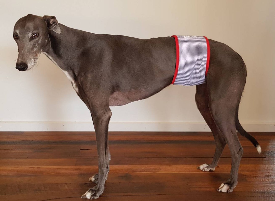 Male Belly Band / Male Wrap / Dog Belly Band / Dog Diaper / Etsy