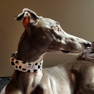 Martingale Collar, Sighthound Collar, Custom Dog Collar, Whippet & Iggie Martingale, Greyhound Collar, Training Collar, Puppy Martingale