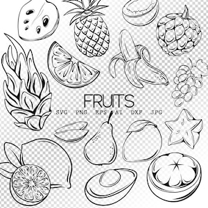 Fruit SVG bundles cut files, Tropical Fruit SVG Line Art, coconut svg, avocado svg, hello summer svg for cricut, Instant download