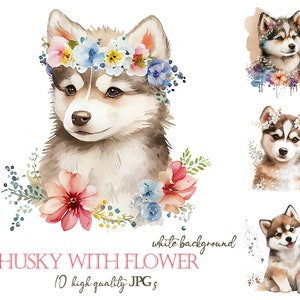 Husky Siberian with flower, Watercolor Clipart Bundle, Floral little pet clipart, baby dog for kids nursery, puppy portrait, Commercial Use