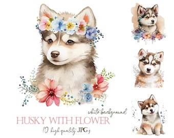 Può includere: Un'illustrazione ad acquerello di un cucciolo di husky che indossa una corona di fiori. Il cucciolo è circondato da fiori e vegetazione. Lo sfondo è bianco. Il testo "Husky with Flower" e "10 high quality JPGs" è in basso nell'immagine.