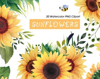 Watercolor Sunflower Clipart, 12 PNG Floral Elements, Sunflowers and Leaves, Summer Wedding Graphics, Digital Download, Commercial Use