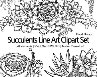 Succulents SVG Line Art, 44 Hand Drawn Succulent Clipart, Botanical Frames and Bouquets, Minimalist Floral SVG for Cricut, Digital Download