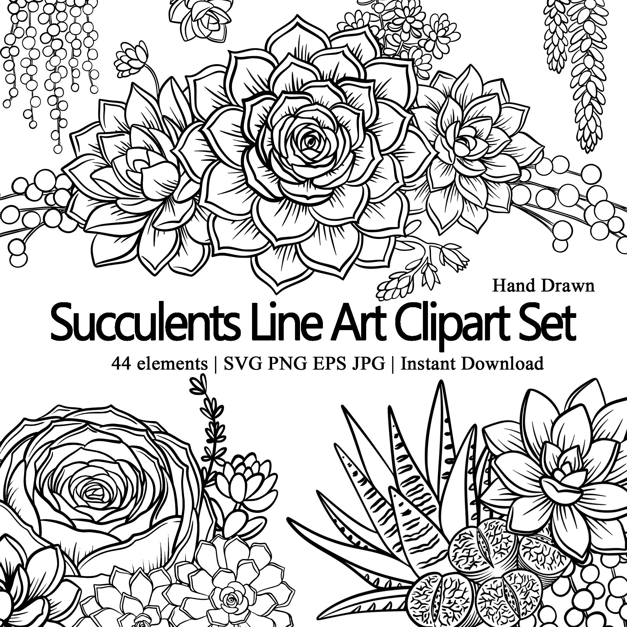 types of succulent cactus Shop Succulents Premium Live Mini Cactus and Succulent Plants in 2" Pots, Easy Care Indoor or Outdoor Gardening, Terrariums, Fa