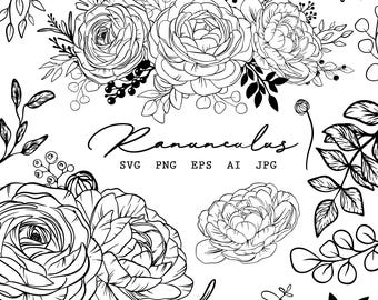 Ranunculus SVG Bundle: Floral Line Art Clipart (Digital Download)