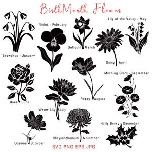 Birth Month Flower SVG, Birth Flower Svg Bundle, Floral Clipart, Personalized Gift Idea, Instant Download, Svg Png Eps Jpg