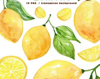 Watercolor Lemon Clipart, Citrus Fruit PNG Set, Hand Painted Lemons, Summer Kitchen Art, Transparent Background, Instant Download