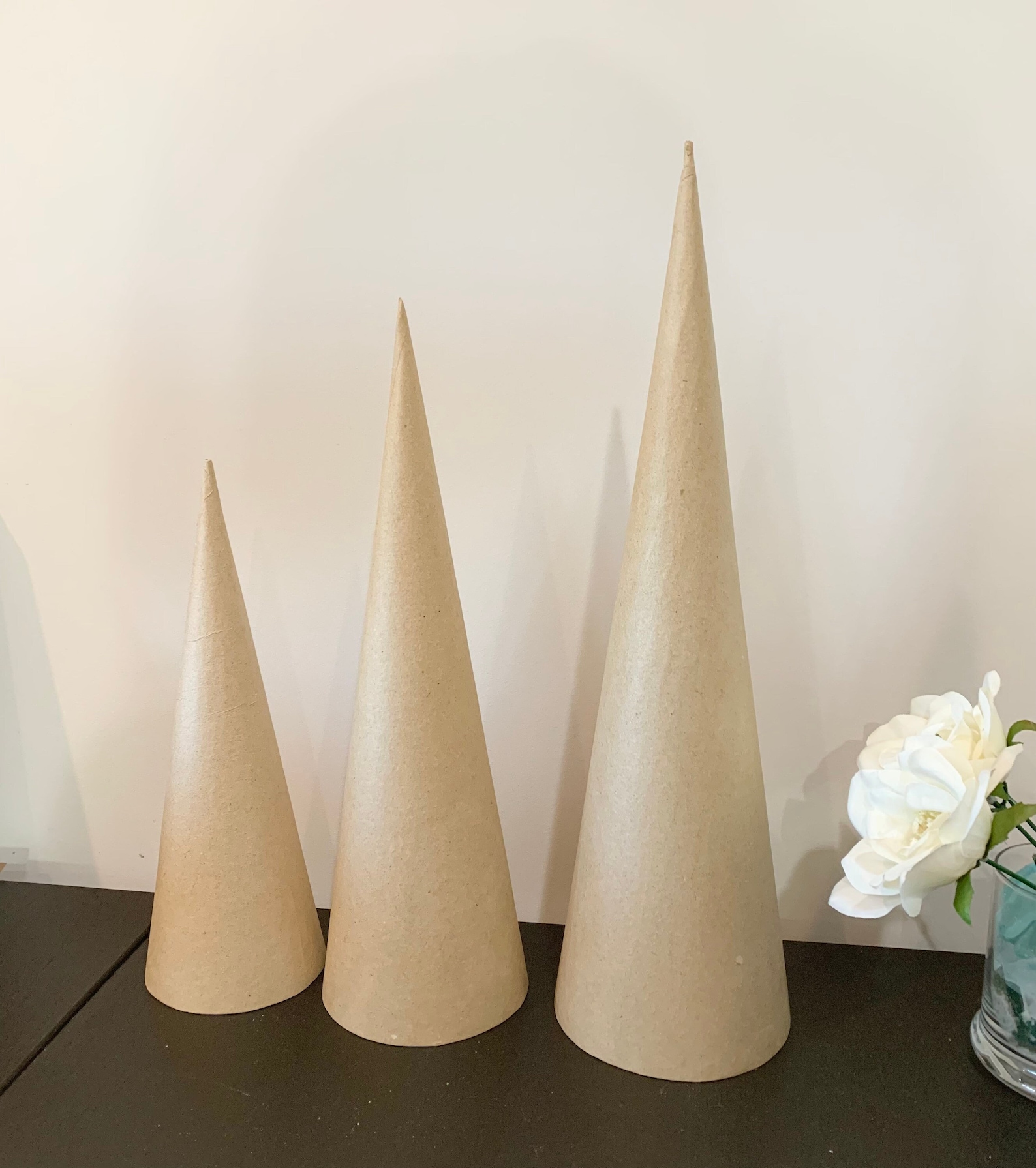 Paper Mache Cones for Crafting 3 Sizes Available 12 Etsy