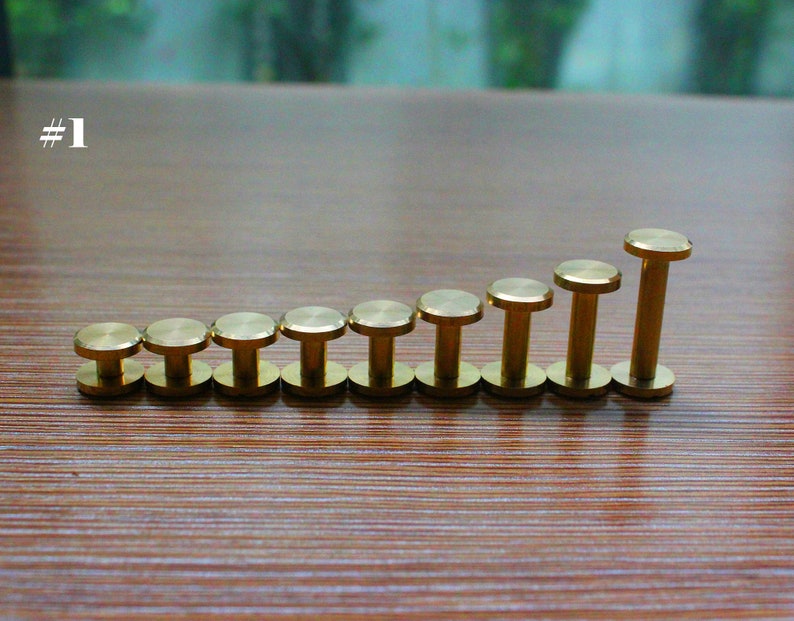 May include: A set of ten brass studs of varying sizes, arranged in a line from smallest to largest. The studs are all round and have a smooth finish.