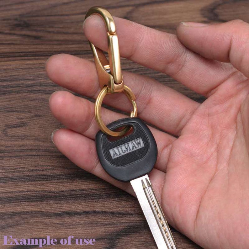 May include: A gold-colored carabiner clip with a key ring holding a black car key. The key has a silver blade and the word "AILHAW" printed on it. The carabiner is attached to a key.